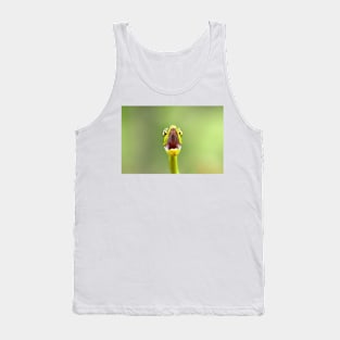 Green parrot snake, Costa Rica Tank Top